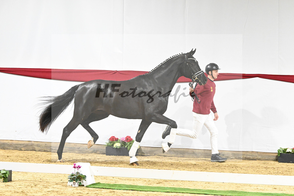Kat-Nr. 65 v. Ferrantino_Greim_63221636 | hf-fotografie - Realizzato con Pictrs.com