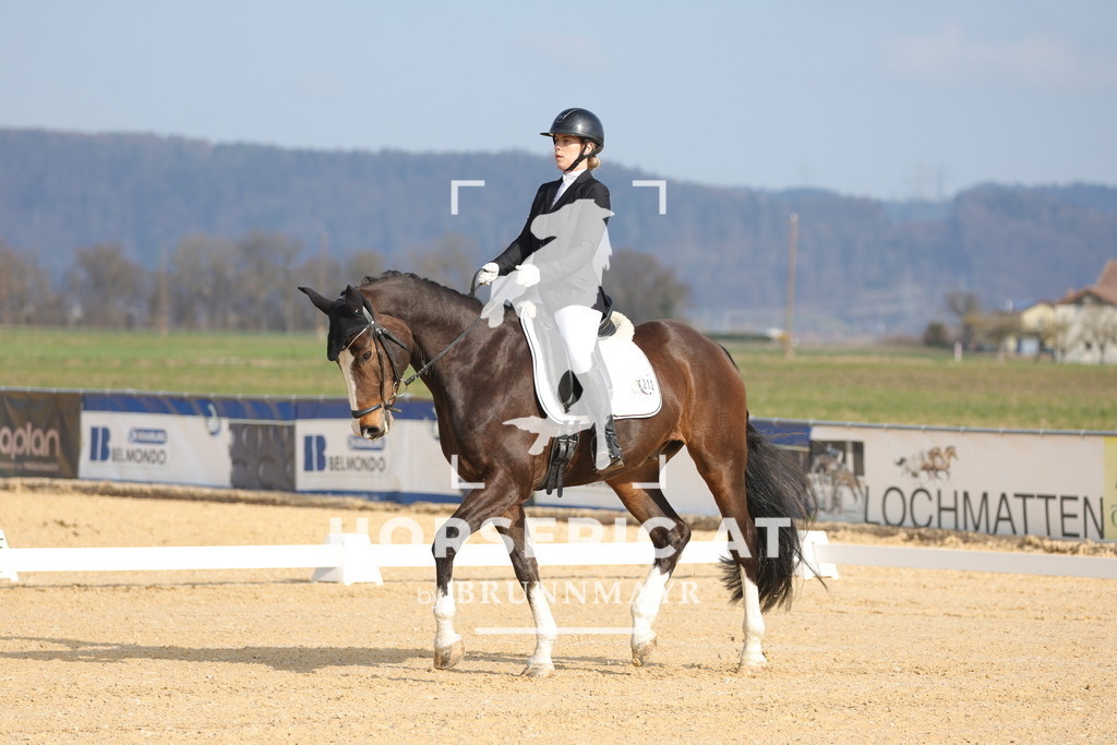 0P6A6122 | Willkommen bei Brunnmayr - Design & Fotografie – Ihrem Spezialisten für Reitturniere und Pferdeveranstaltungen in Oberösterreich, Salzburg und Bayern! Seit über 17 Jahren sind wir leidenschaftlich dabei.