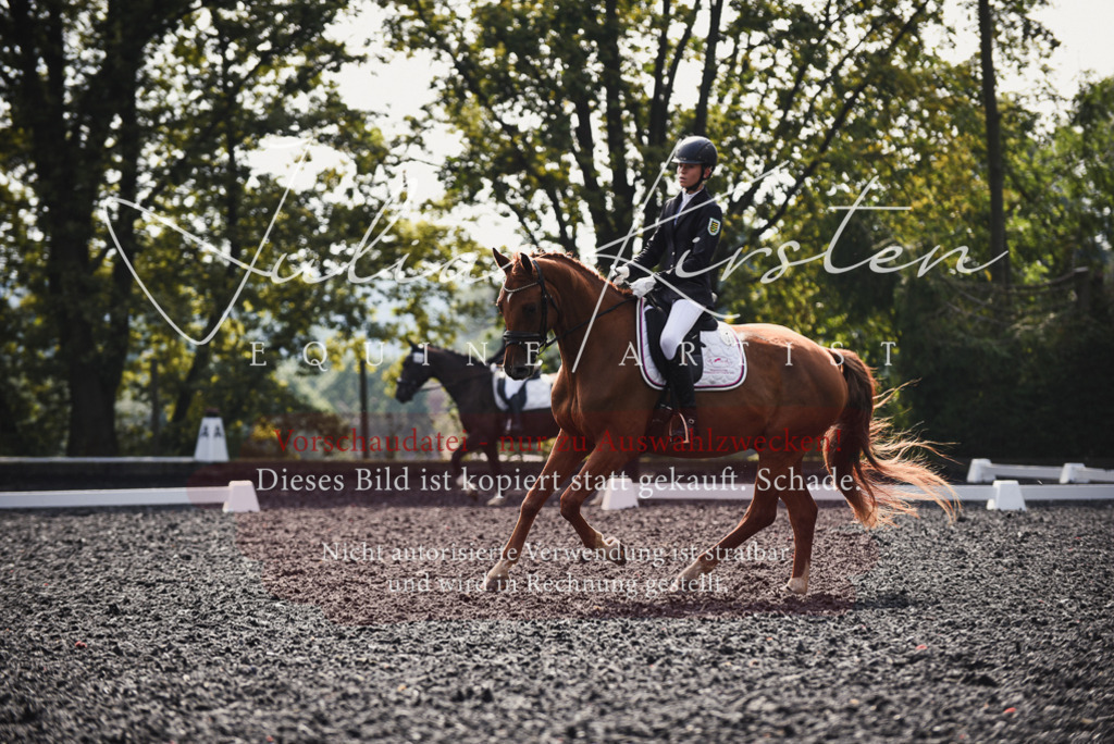 DSC_3604 | Pferde- und Turnierfotografie in Westsachsen. Pferdeportraits, Auftragszeichnungen und intuitive Kunst.