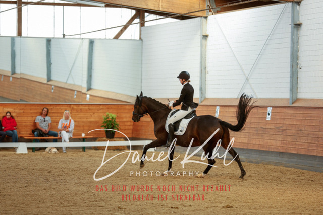 _62_7746 | Turniersportfotografie; Pferdefotografie; Dressurfotografie