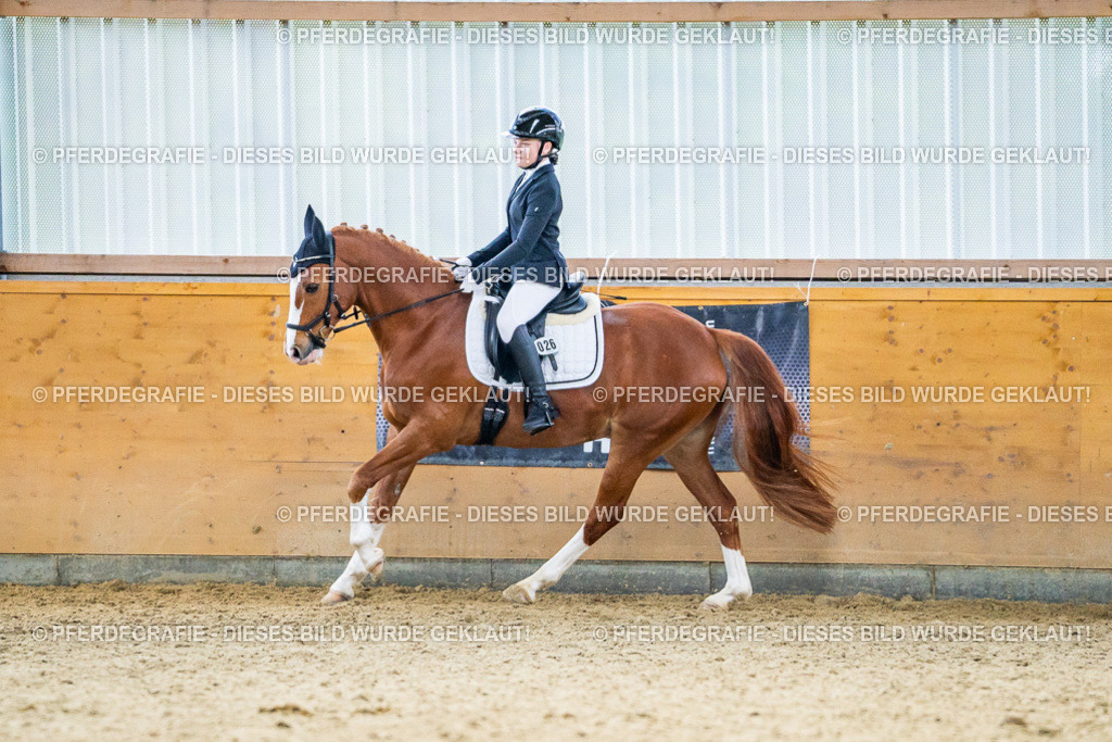 DSC04738 | Pferdegrafie