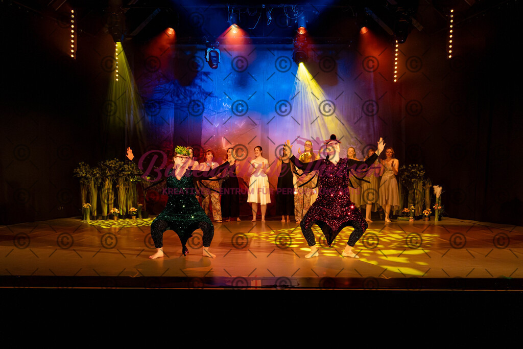 Ballettaufführung-606 | Bildershop Lem'n Entertainment - Realisiert mit Pictrs.com