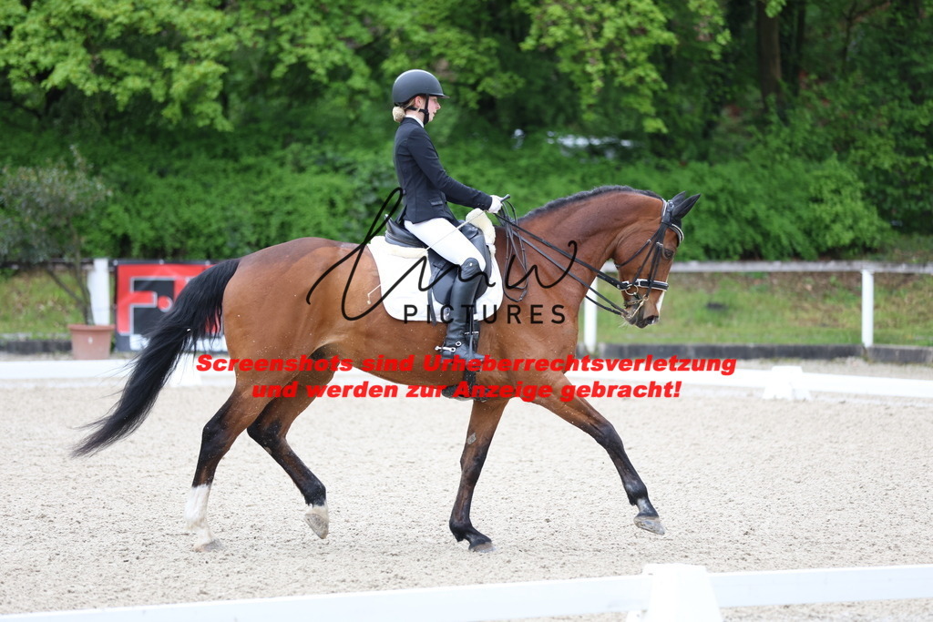 A40A0693 | lmwpictures - Realisiert mit Pictrs.com