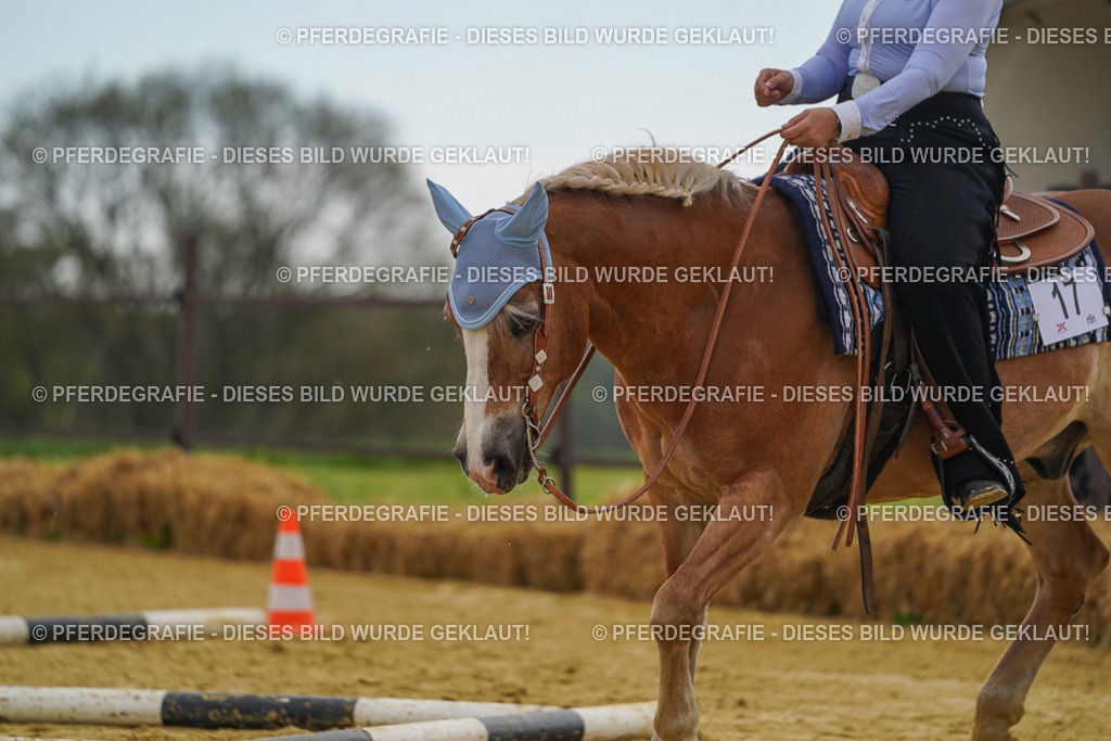 DSC02442 | Pferdegrafie