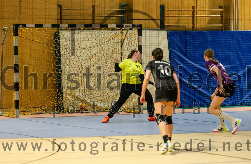 2024-02-10_065_SpVgg_Altenerding_gegen_SVA_Palzing | Erding, Deutschland, 10.02.2024:
Handball, Bezirksoberliga Frauen Altbayern 2023 / 2024, 14. Spieltag, SpVgg Altenerding gegen SVA Palzing, Endergebnis: 27:28

Torfrau Vivian Beier (SVA Palzing, #37), Veronika Wöhrl (SVA Palzing, #10), Greta Felbinger (SpVgg Altenerding, #4)

Foto: Christian Riedel / fotografie-riedel.net