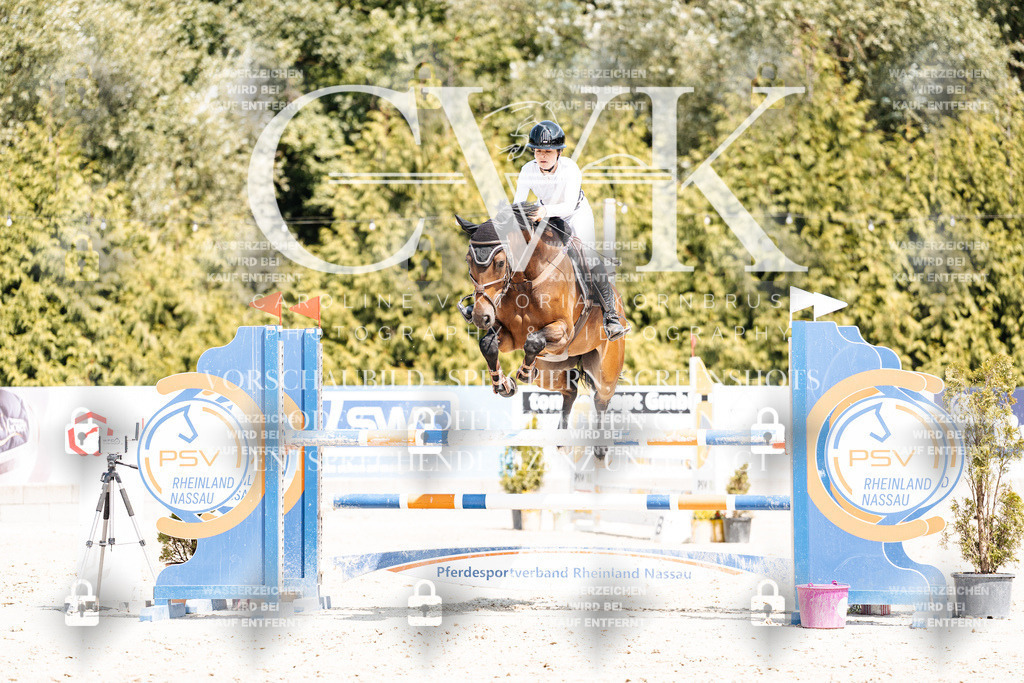 CK901013 | Turnierfotografie Pferdefotografie Trier Rheinland-Pfalz Pferdesport Reitsport Tierfotografie Sportfotografie Pferdevideo Pferdevideografie Equestrianvideography equestrianphotography  - Realisiert mit Pictrs.com