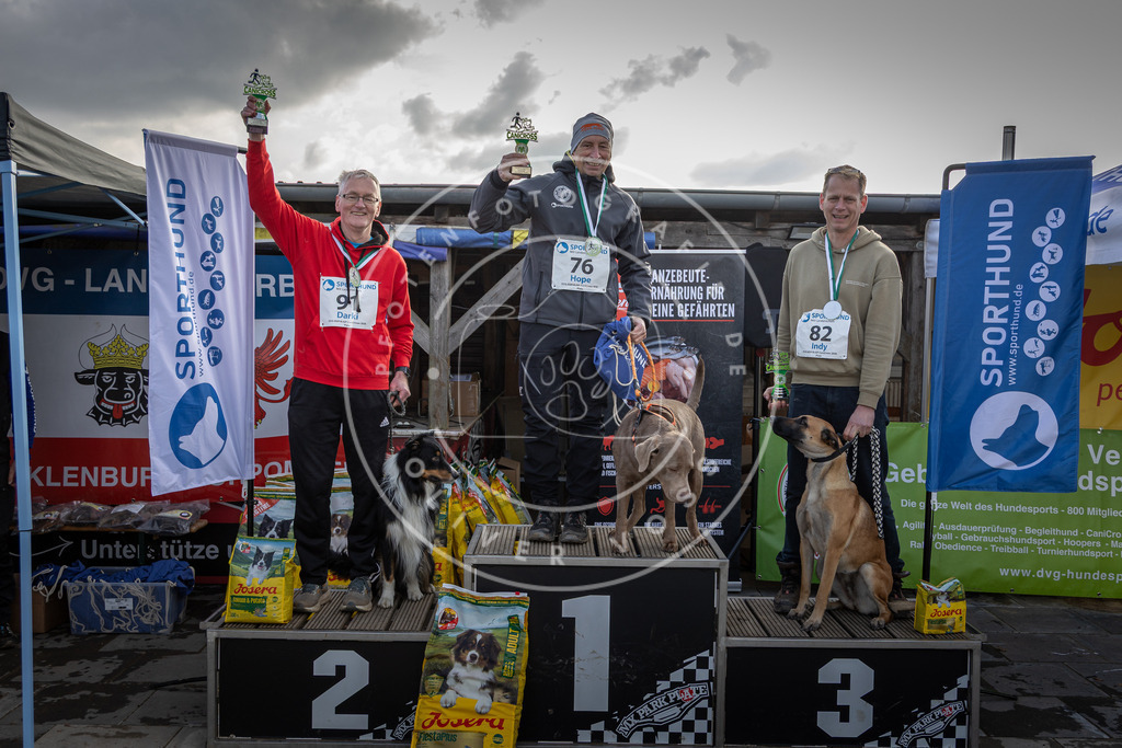 0L8A9188 | Hundefotografie, Tierfotograf, Pfotenfotografie, Fotoshooting Hund, Hunde Portrait, Hundesport, Hundeportraits, Heideshooting, Hunde, Sportfotograf, Hundefotograf, Turnierhundsport, THS,  - Realisiert mit Pictrs.com