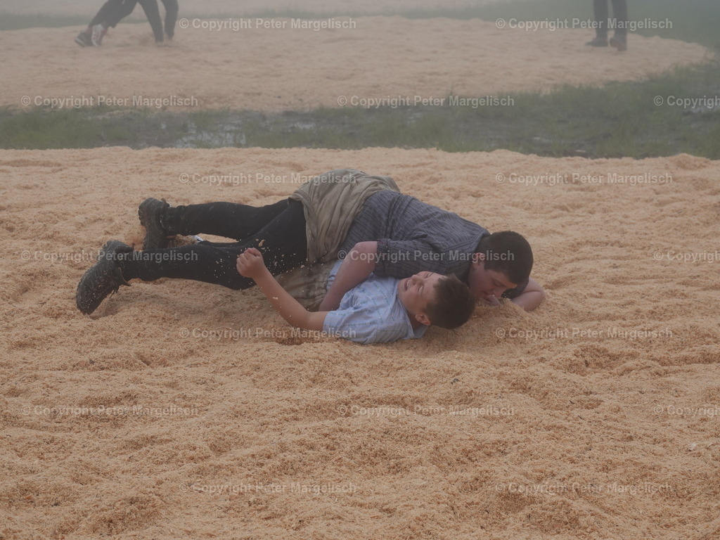 DSC07840 | Schwingen - Realisiert mit Pictrs.com