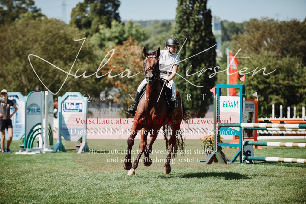 DSC_3078 | Pferde- und Turnierfotografie in Westsachsen. Pferdeportraits, Auftragszeichnungen und intuitive Kunst.