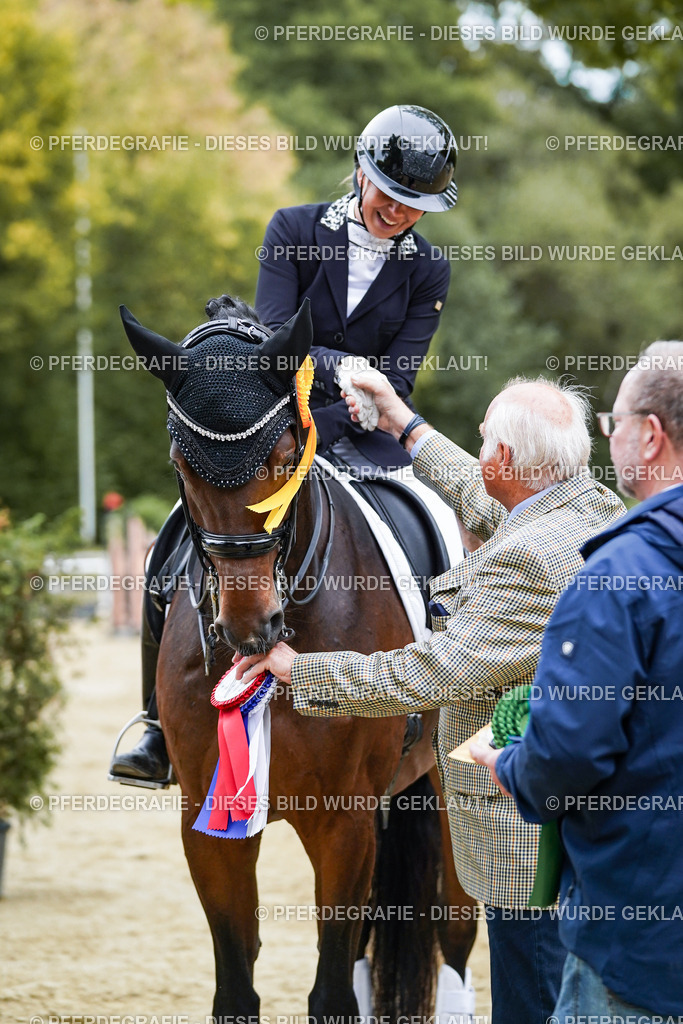 DSC02527 | Pferdegrafie