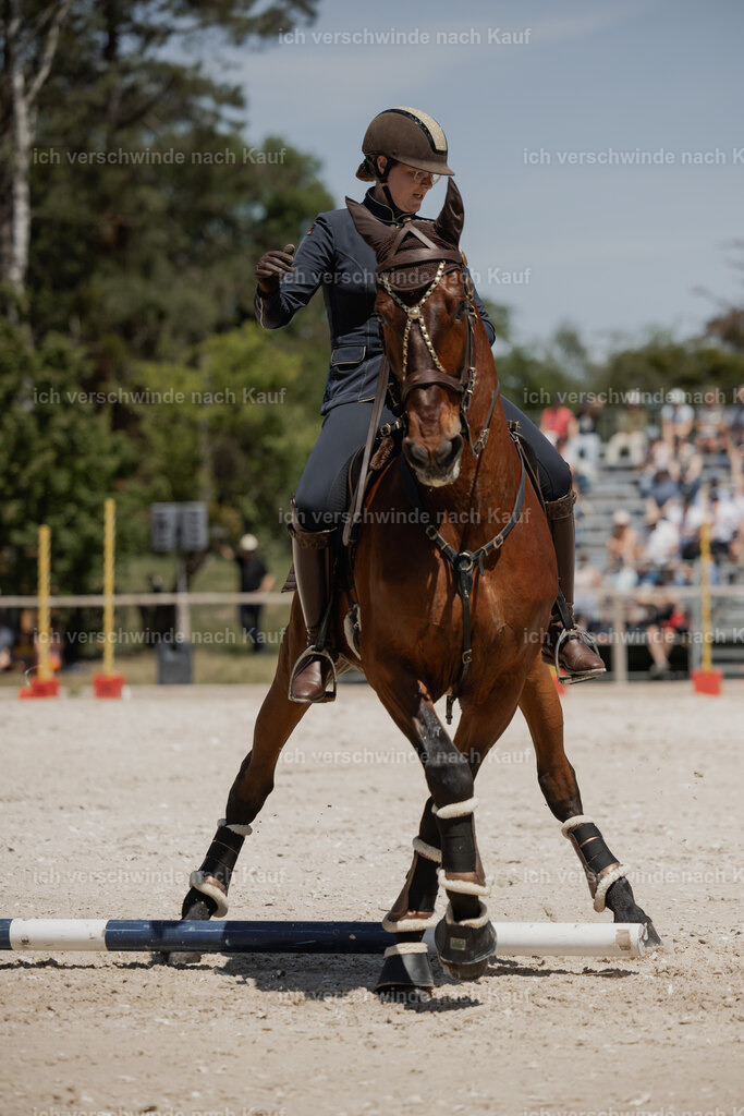 WE_SP_Stoib_340_PI2025_1949 | Pferd International München 2025