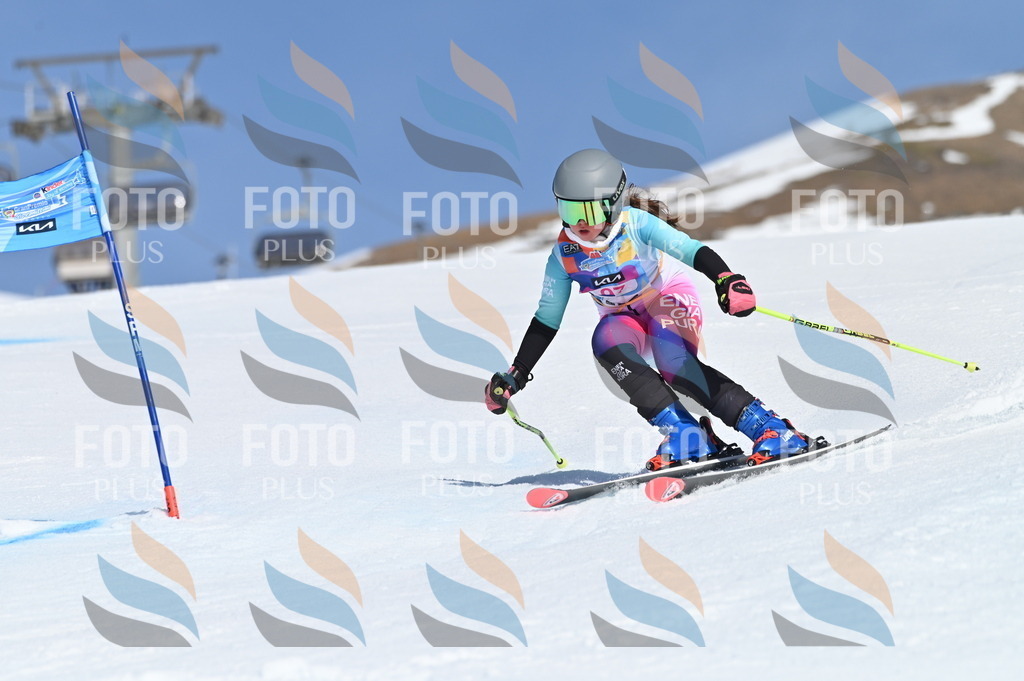 BGV_9399 | holidayphoto