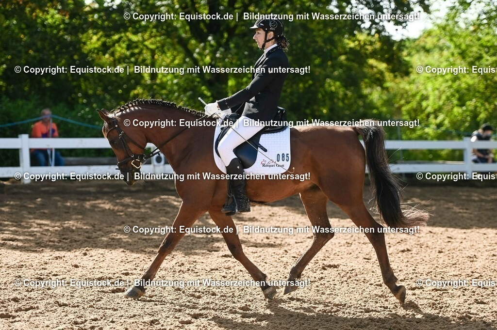 20230716_04_Dressurreiterprüfung Kl.A_0177 | equistock