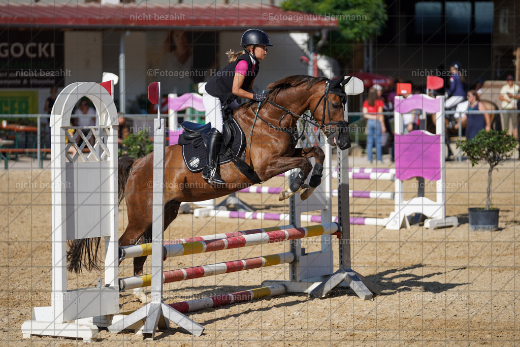 20240824-FAH07338 | Thierhaupten 2024, Bayerisches Landesponyturnier, Turnierbilder, Ponybilder, Turnierfotografen Bayern, Fotoagentur Herrmann