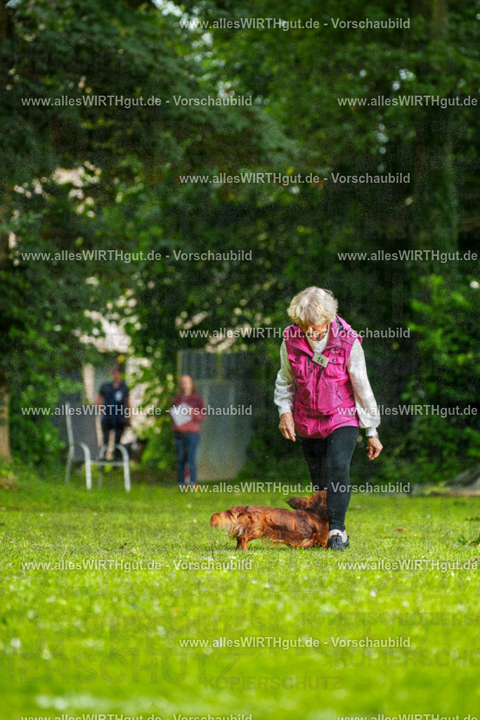 @allesWIRTHgut_Tierfotografie - www.allesWIRTHgut.de - 090701-7R506506 | Professionelle Tierfotografie in Mönchengladbach von Daniel Wirth (allesWIRTHgut). Liebevolle & natürliche Bilder von Hunden & Katzen für unvergessliche Erinnerungen.