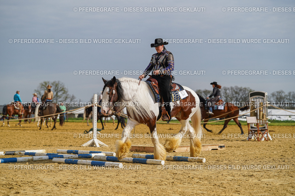 DSC01680 | Pferdegrafie