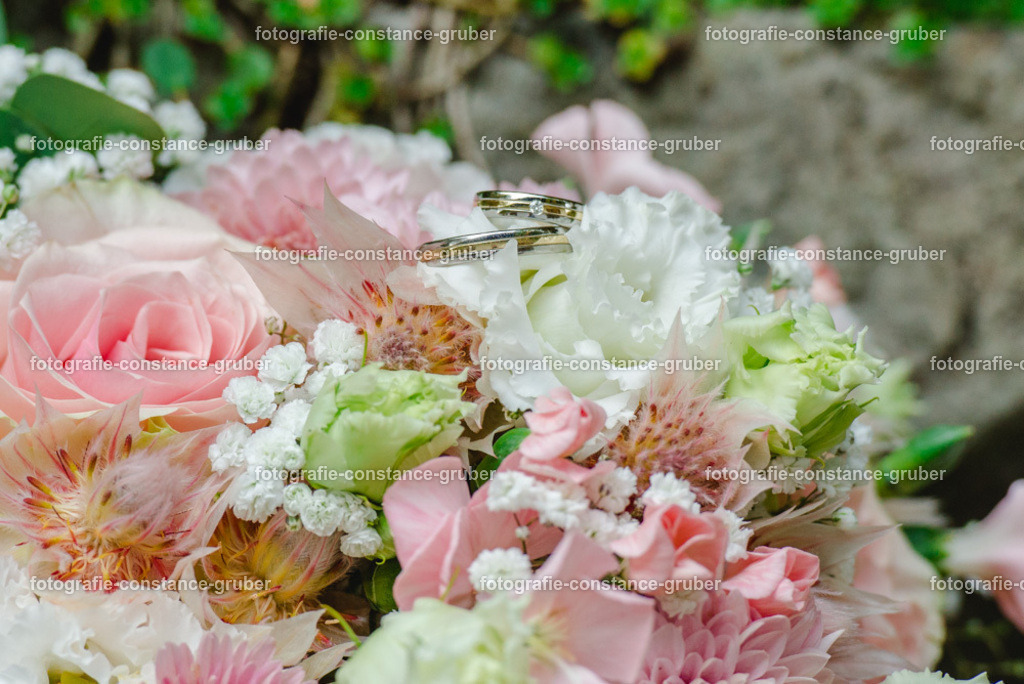 1008 | Fotografie Constance Gruber - Realisiert mit Pictrs.com