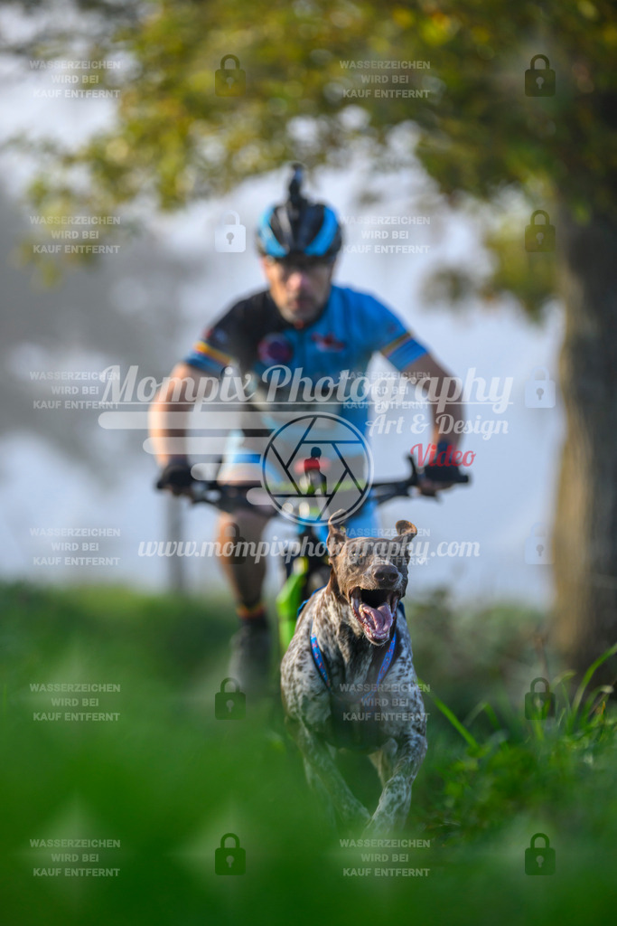 MompixPhotography_20TSB_E3_Bike-23 | PayLife