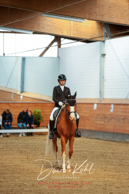 _62_5163 | Turniersportfotografie; Pferdefotografie; Dressurfotografie