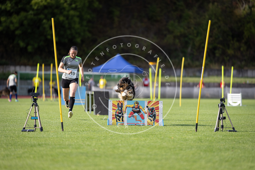 Pfotenfotografie_DV3A2096 | Hundefotografie, Tierfotograf, Pfotenfotografie, Fotoshooting Hund, Hunde Portrait, Hundesport, Hundeportraits, Heideshooting, Hunde, Sportfotograf, Hundefotograf, Turnierhundsport, THS,  - Realisiert mit Pictrs.com