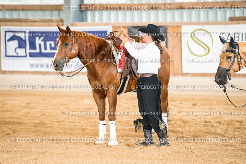 DSC02535 | Pferdegrafie