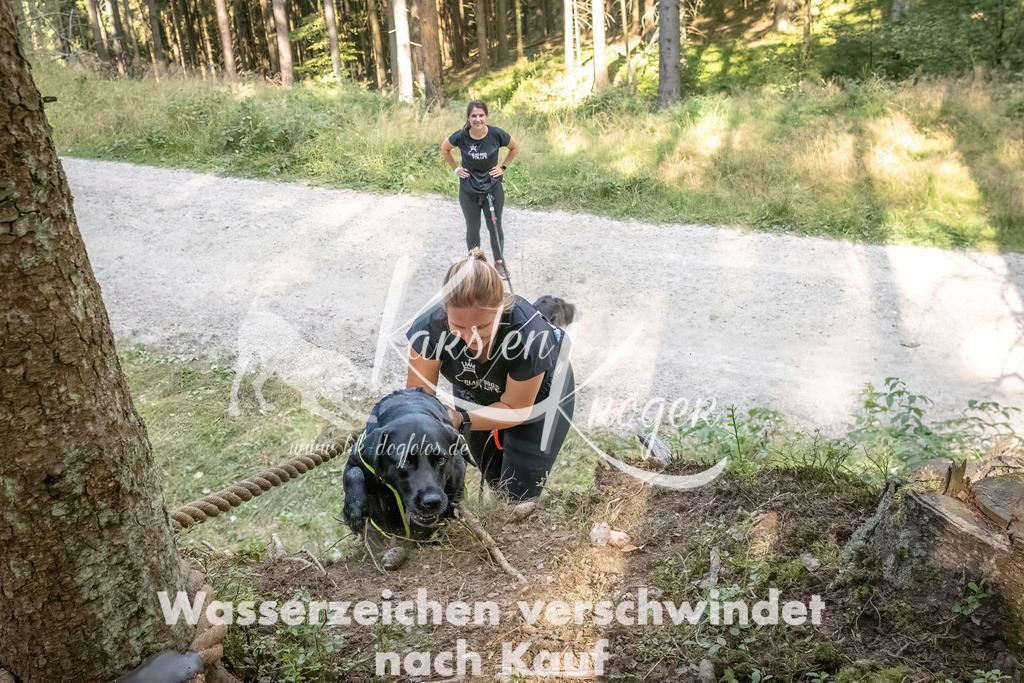 1049_ZZ92910 | kk-dogfotos