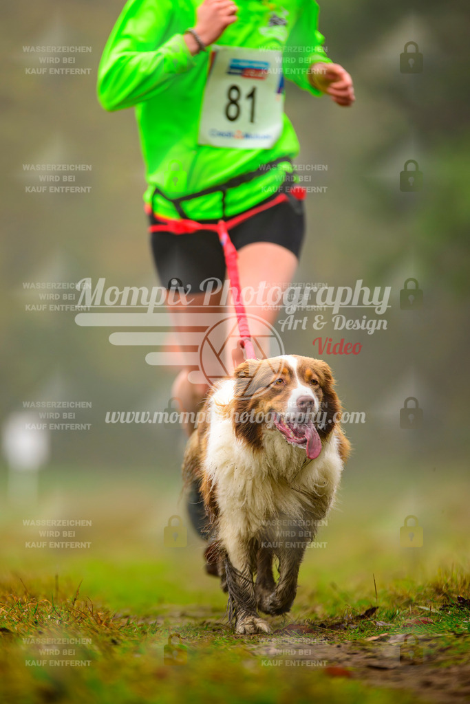 MompixPhotography_Bischwiller2025_Canicross-90 | mompixphotography