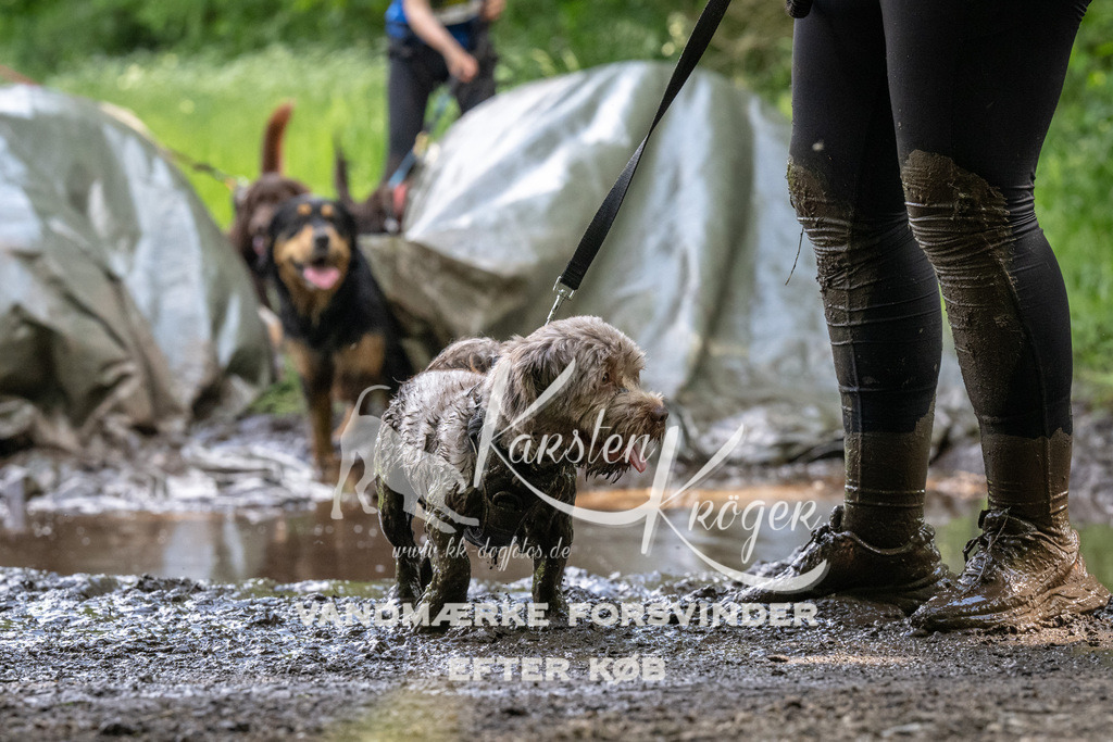 1310_ZZ90254 | kk-dogfotos