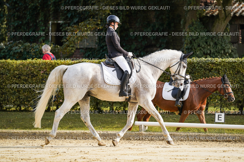 DSC05533 | Pferdegrafie