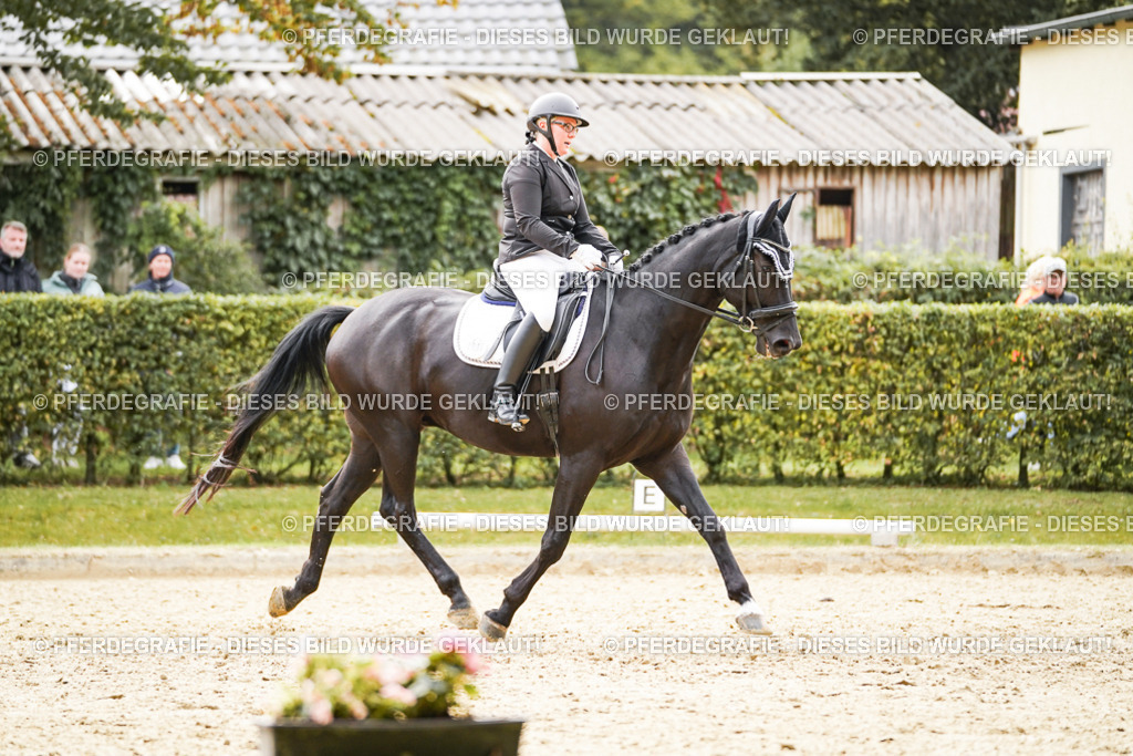 DSC01211 | Pferdegrafie