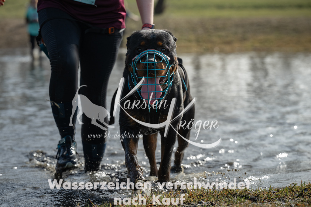 1140_ZZ95659-3 | kk-dogfotos