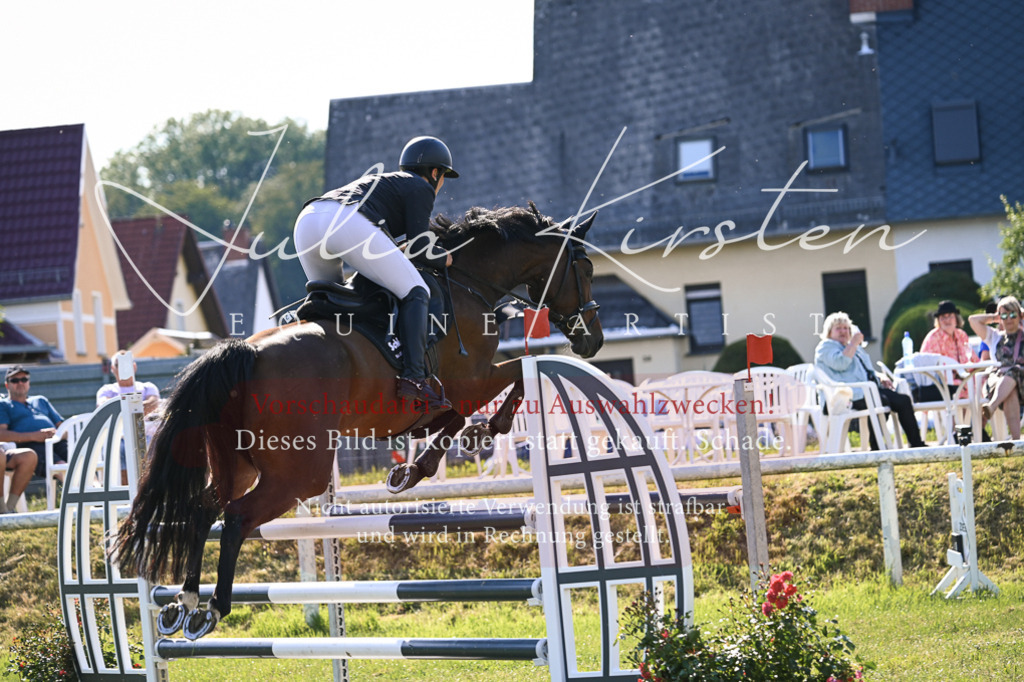 DSC_1468 | Pferde- und Turnierfotografie in Westsachsen. Pferdeportraits, Auftragszeichnungen und intuitive Kunst.