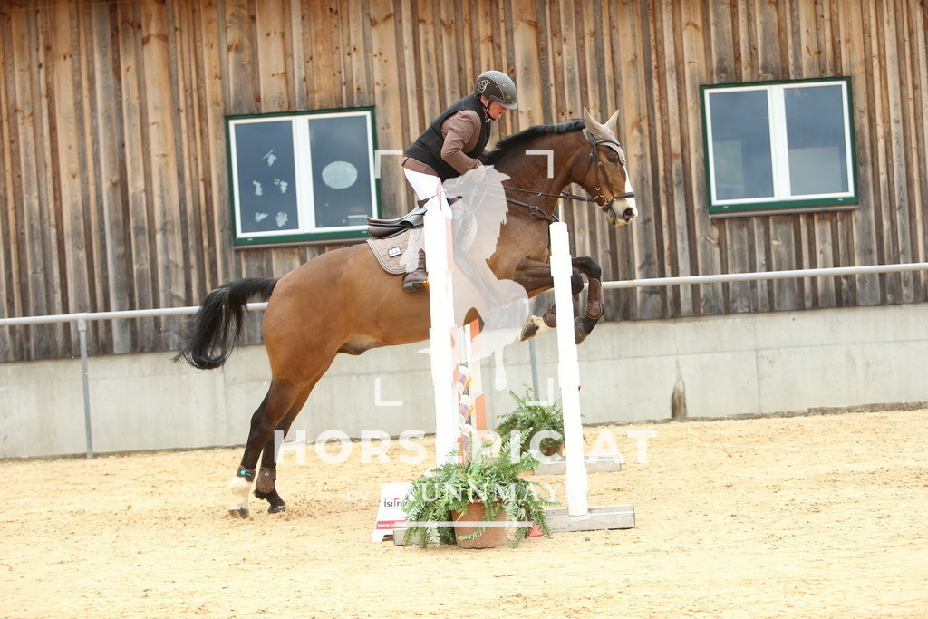 DL2Q2073 | Willkommen bei Brunnmayr - Design & Fotografie – Ihrem Spezialisten für Reitturniere und Pferdeveranstaltungen in Oberösterreich, Salzburg und Bayern! Seit über 17 Jahren sind wir leidenschaftlich dabei.