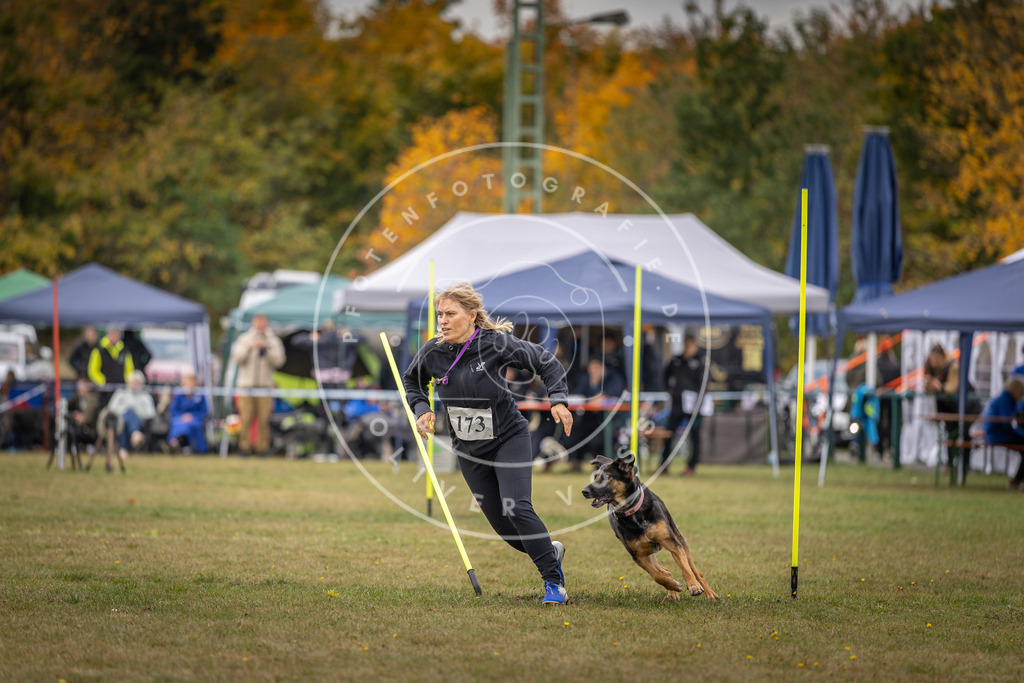 Pfotenfotografie_DV3A5718 | Hundefotografie, Tierfotograf, Pfotenfotografie, Fotoshooting Hund, Hunde Portrait, Hundesport, Hundeportraits, Heideshooting, Hunde, Sportfotograf, Hundefotograf, Turnierhundsport, THS,  - Realisiert mit Pictrs.com