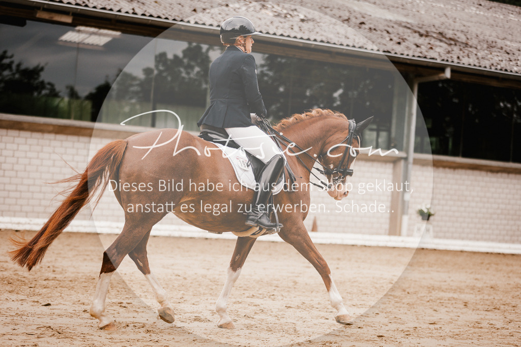 3I6A7783 | Stimmungsvolle Portraits und Reitsportfotografie im Ruhrgebiet und im Münsterland.

Pferdefotografie, Hundefotografie, Tierfotografie, Reportagen, Portraits von Tier und Mensch, Turnierfotografie in Bochum, Recklinghausen, Marl, Haltern am See, Dülmen.. - Realisiert mit Pictrs.com