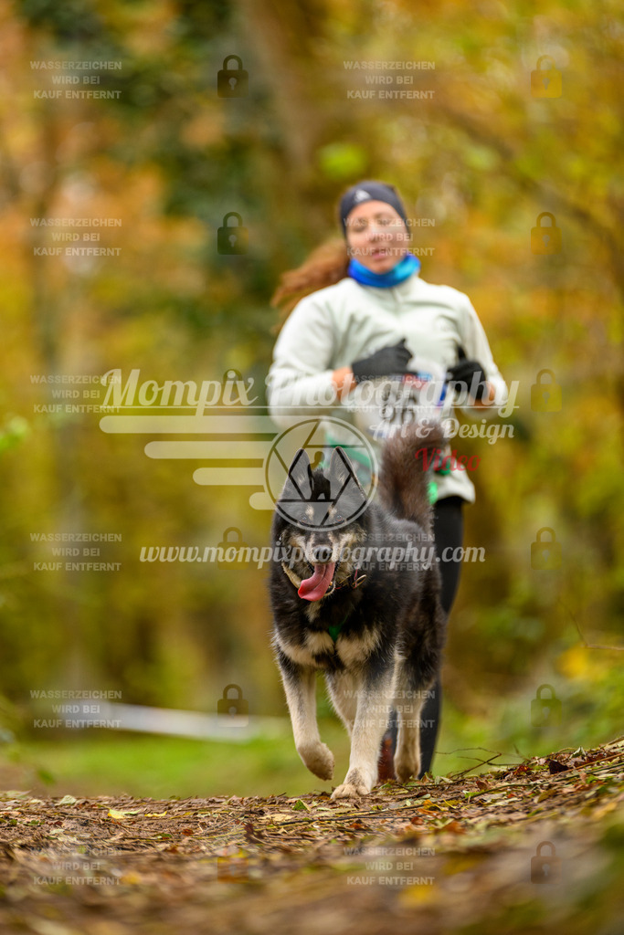 MompixPhotography_Bischwiller24_SA_Canicross-98 | PayLife