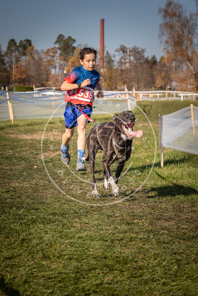 CaniXpix_0L8A7437 | Hundefotografie, Tierfotograf, Pfotenfotografie, Fotoshooting Hund, Hunde Portrait, Hundesport, Hundeportraits, Heideshooting, Hunde, Sportfotograf, Hundefotograf, Turnierhundsport, THS,  - Realisiert mit Pictrs.com