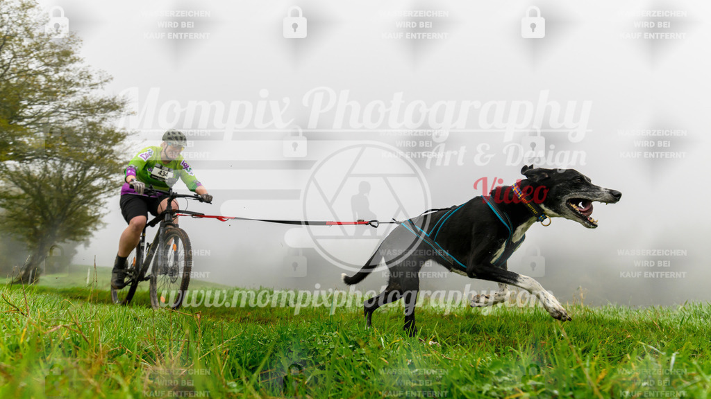 MompixPhotography_20TSB_E5_Bike-107 | PayLife