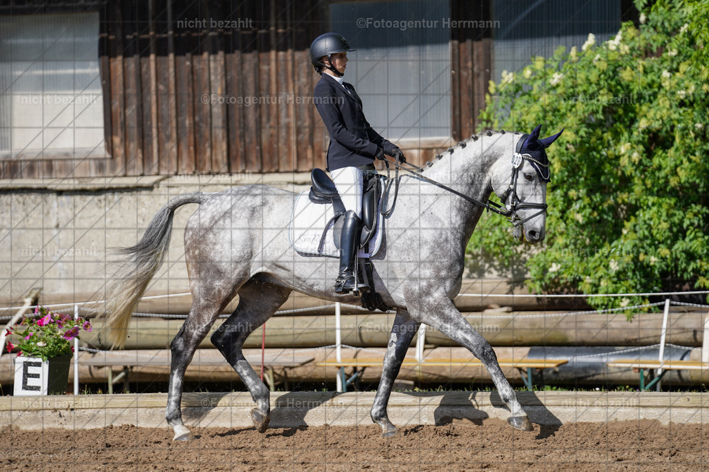 20240519-FAH04644 | Turnierbilder Niederseeon 2024, Vielseitigkeitsdressur, Reitsportbilder aus dem Landkreit Ebersberg, Gut Steinsee, RC Steinsee, Fotoagentur Herrmann