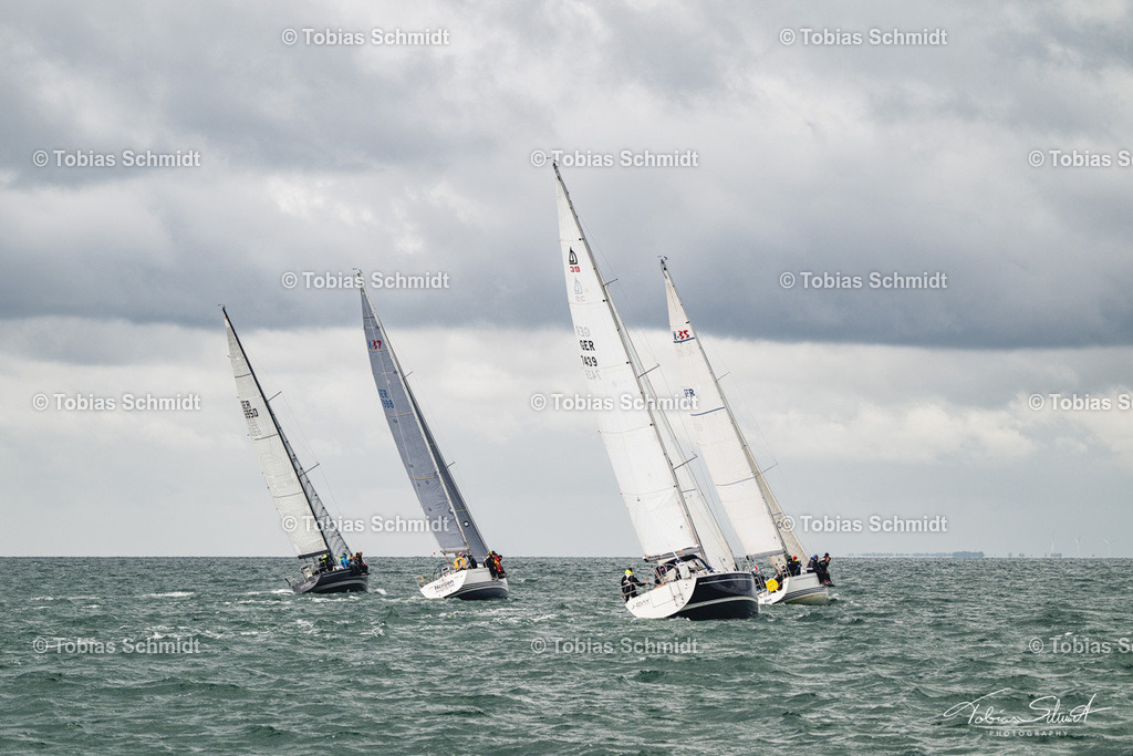 Fehmarn Rund 2025_DSC7085 | Fotoprodukte, Kalender und Wanddeko direkt vom Fotografen auf Fehmarn. Ob Wandbild auf Alu-Dibond, hinter Acrylglas oder auf Leinwand – hier können Sie Ihr Lieblingsbild kaufen. - Realisiert mit Pictrs.com