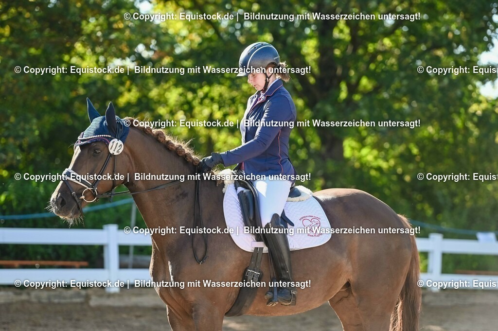 20230715_06_Dressurpferdeprfg. Kl.A_0123 | equistock