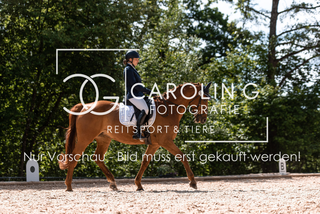 DSC_9730 | Turnierfotografin Carolin Gieschke, Turnierfotografie Carolin G Fotografie, Turnierfotos Kirchheim/Teck, Esslingen, Stuttgart, Bodenseekreis