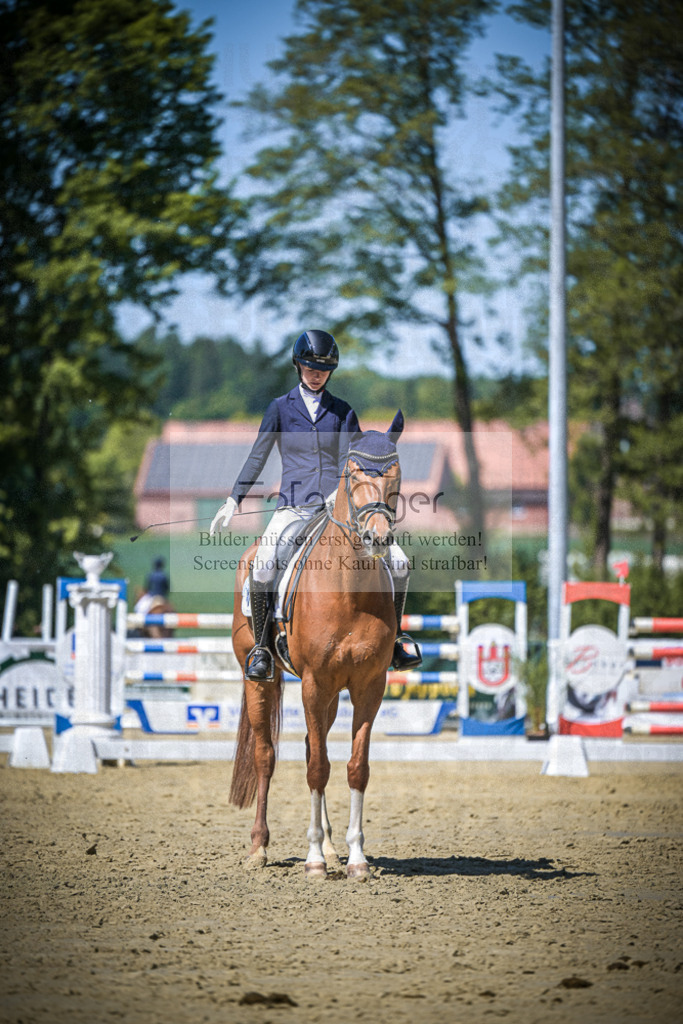 DOS_6910 | Entdecke hochwertige Reitturnierfotos von Foto Oger. Professionell, emotional und authentisch – jetzt Lieblingsmomente im Shop bestellen.Deutschlandweite Turnierfotografie. - Realisiert mit Pictrs.com