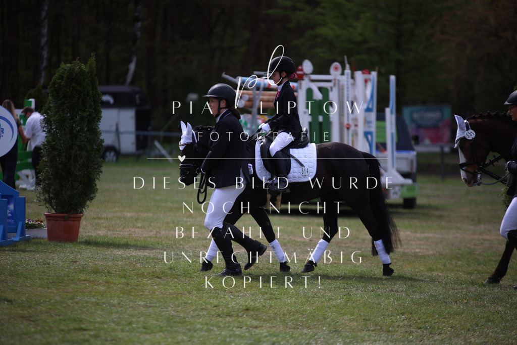 IMGT1339 | pl-fotografie