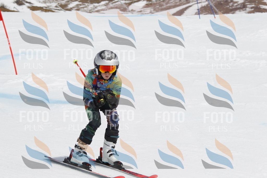 _U3G2801 | holidayphoto