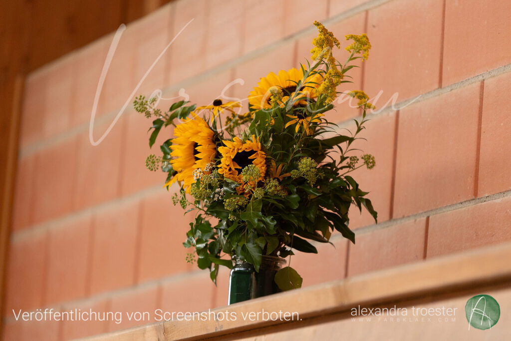 250914_Barop_12_012 | farbklaex.com