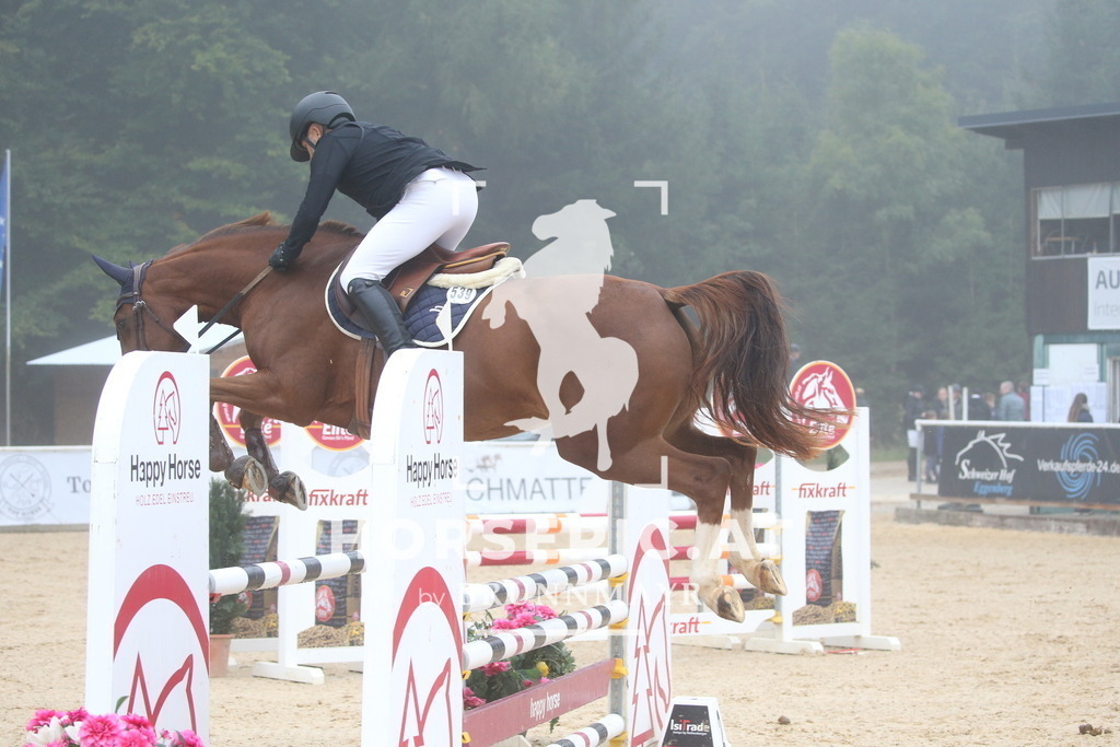 DL2Q2977 | Willkommen bei Brunnmayr - Design & Fotografie – Ihrem Spezialisten für Reitturniere und Pferdeveranstaltungen in Oberösterreich, Salzburg und Bayern! Seit über 17 Jahren sind wir leidenschaftlich dabei.