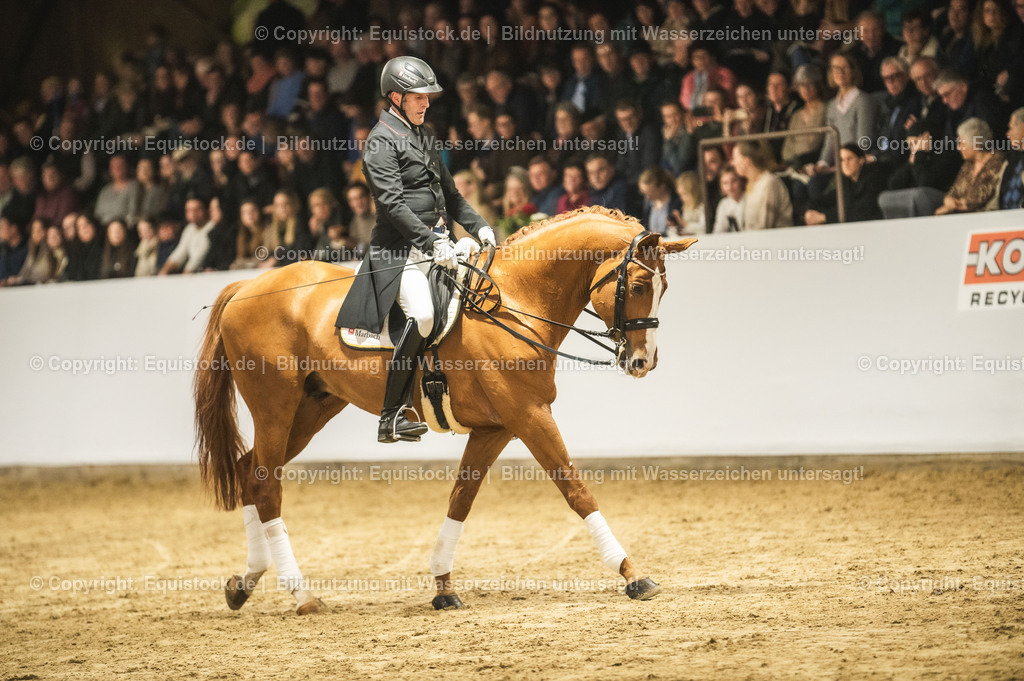 20240302_Hengstvorstellung_Marbach_TOMsPiC_0926 | equistock