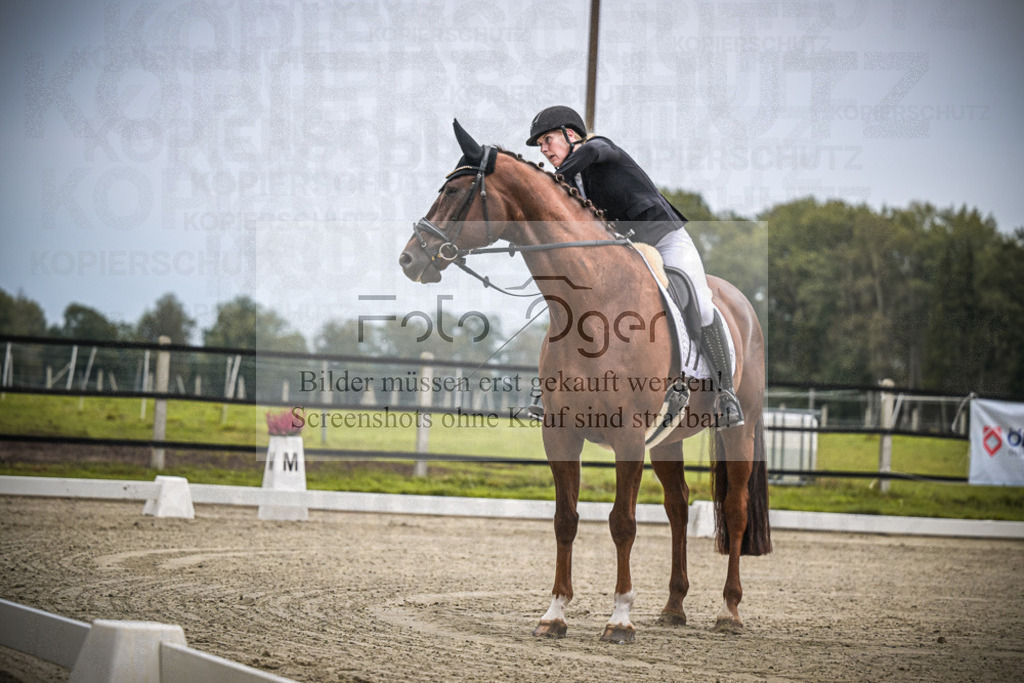 DOS_0253 | Entdecke hochwertige Reitturnierfotos von Foto Oger. Professionell, emotional und authentisch – jetzt Lieblingsmomente im Shop bestellen.Deutschlandweite Turnierfotografie. - Realisiert mit Pictrs.com