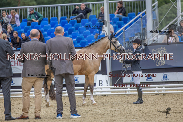 RPF 3j SW 4 (611 von 1391) | mandyhollmannphotographie